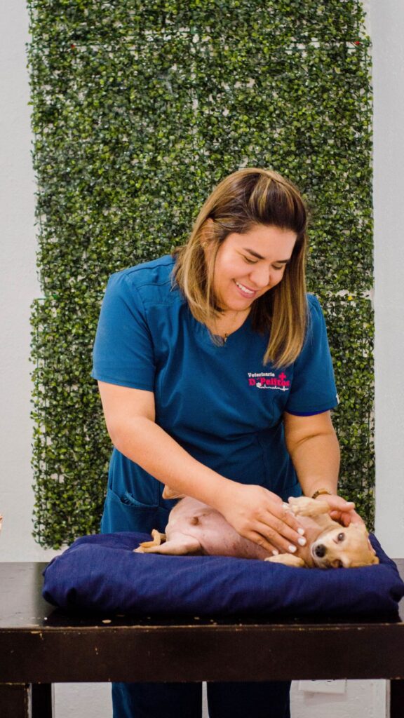 Sobre Tania Terapeuta